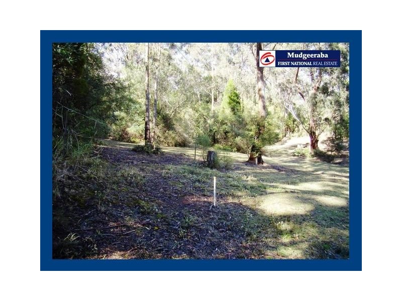 Springbrook QLD 4213