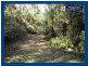 Springbrook QLD 4213