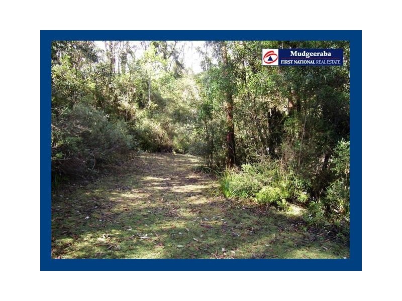 Springbrook QLD 4213