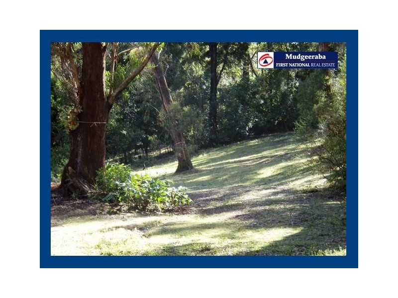 Springbrook QLD 4213