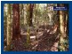 Springbrook QLD 4213