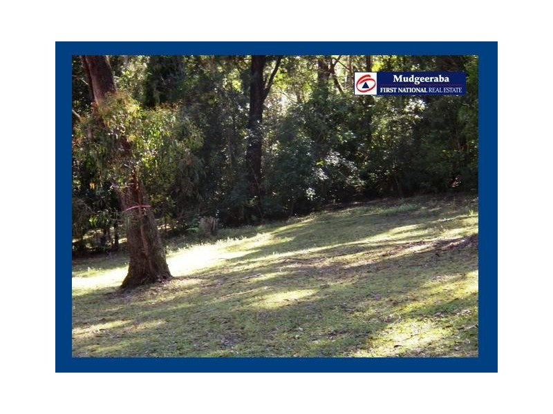 Springbrook QLD 4213
