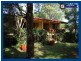 17 Forestry Road, Springbrook QLD 4213