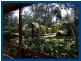 17 Forestry Road, Springbrook QLD 4213