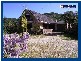 2792 Springbrook Road, Springbrook QLD 4213