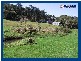 2792 Springbrook Road, Springbrook QLD 4213
