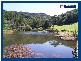 2792 Springbrook Road, Springbrook QLD 4213
