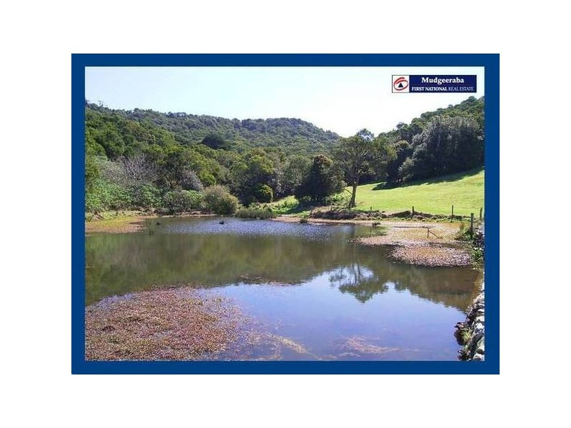 2792 Springbrook Road, Springbrook QLD 4213