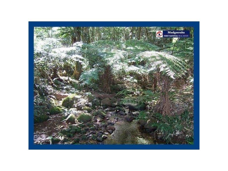 2792 Springbrook Road, Springbrook QLD 4213