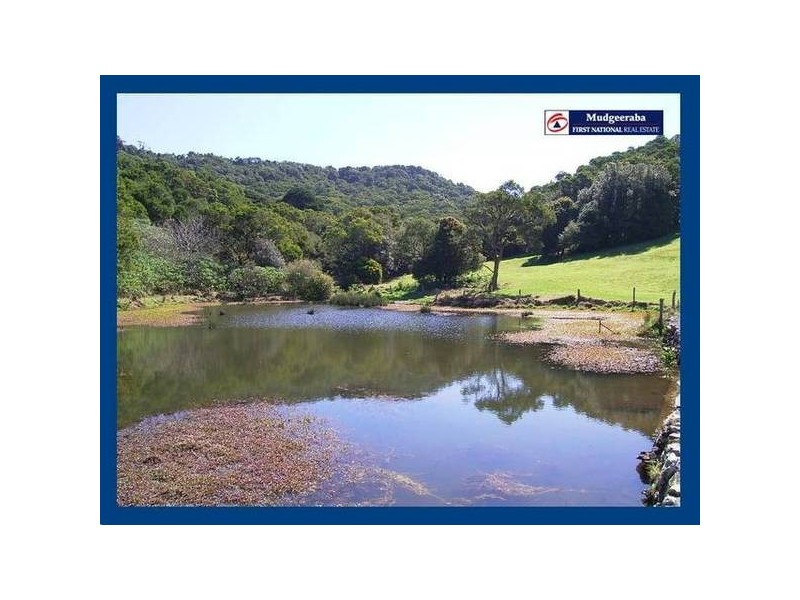 2792 Springbrook Road, Springbrook QLD 4213
