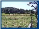 2792 Springbrook Road, Springbrook QLD 4213