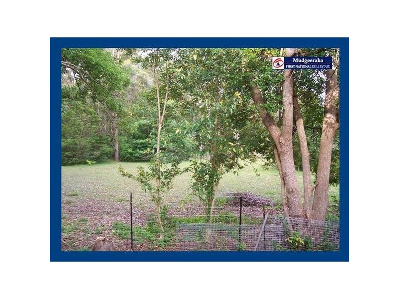 2277 Springbrook Road, Springbrook QLD 4213