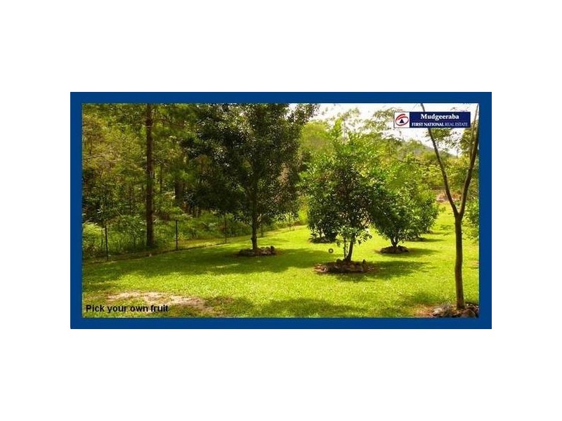 87 Glenmore Drive, Bonogin QLD 4213