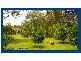 87 Glenmore Drive, Bonogin QLD 4213