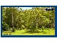 87 Glenmore Drive, Bonogin QLD 4213