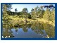 523 Bonogin Road, Bonogin QLD 4213