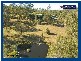 523 Bonogin Road, Bonogin QLD 4213