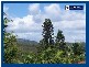 6 Nabarlek Drive, Worongary QLD 4213