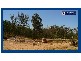 Bonogin QLD 4213