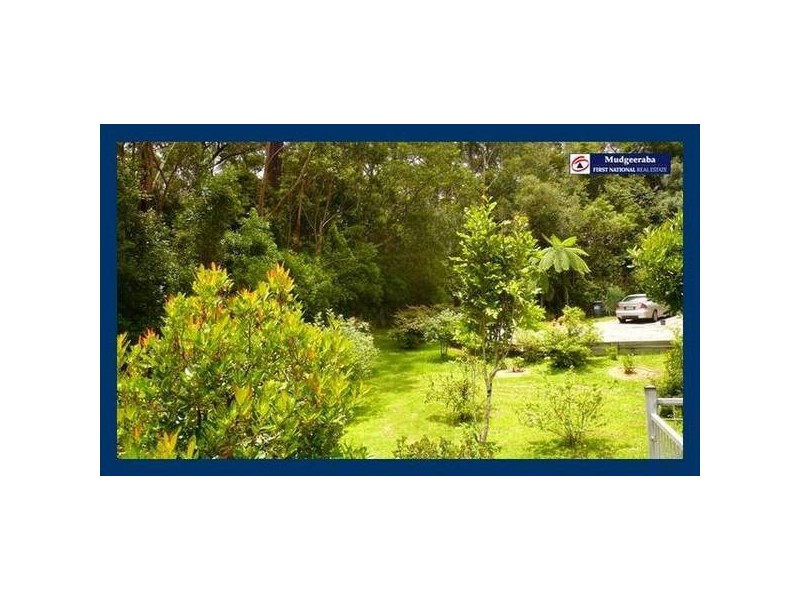 Springbrook QLD 4213