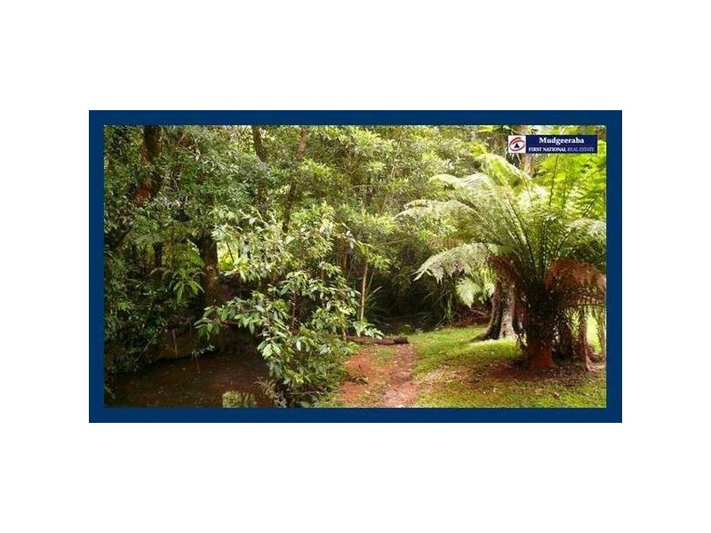 Springbrook QLD 4213