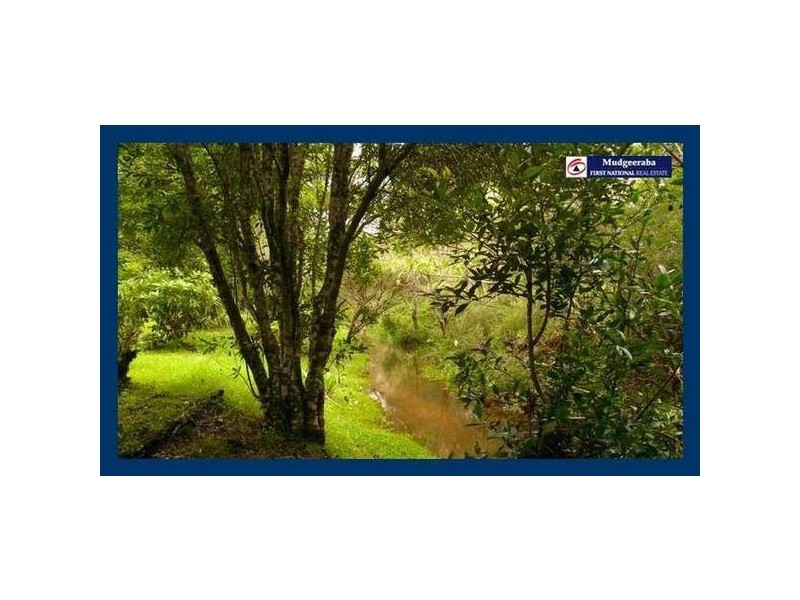 Springbrook QLD 4213