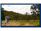 Bonogin QLD 4213