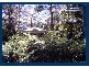 Springbrook QLD 4213