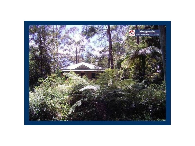 Springbrook QLD 4213