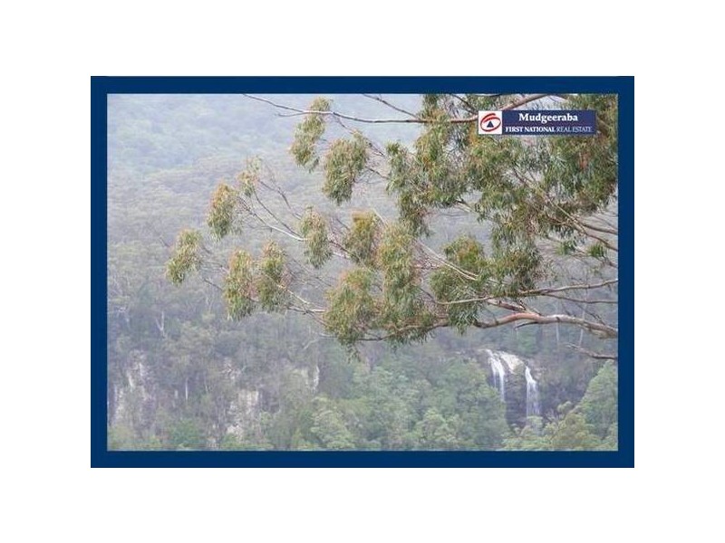 Springbrook QLD 4213