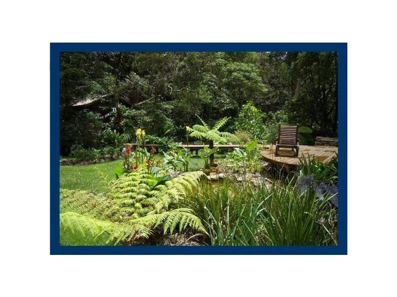 2899 Springbrook Road, Springbrook QLD 4213