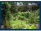 2899 Springbrook Road, Springbrook QLD 4213