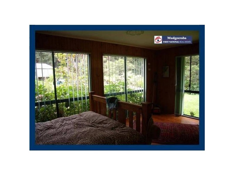 2899 Springbrook Road, Springbrook QLD 4213