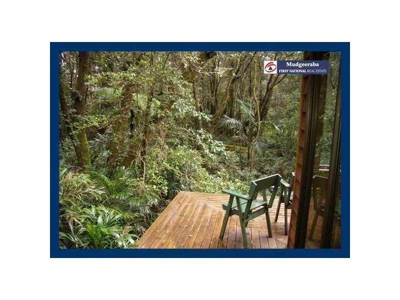 2899 Springbrook Road, Springbrook QLD 4213