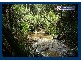 2899 Springbrook Road, Springbrook QLD 4213