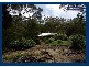 2899 Springbrook Road, Springbrook QLD 4213