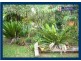 2404 Springbrook Road, Springbrook QLD 4213