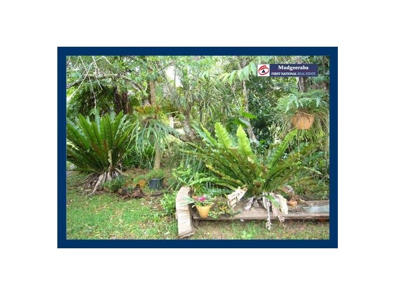 2404 Springbrook Road, Springbrook QLD 4213