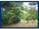 2404 Springbrook Road, Springbrook QLD 4213
