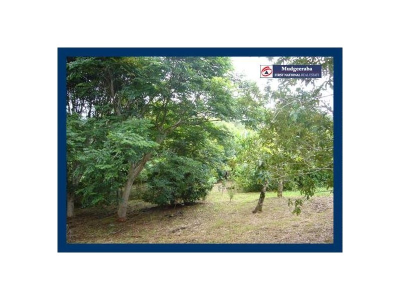 2404 Springbrook Road, Springbrook QLD 4213
