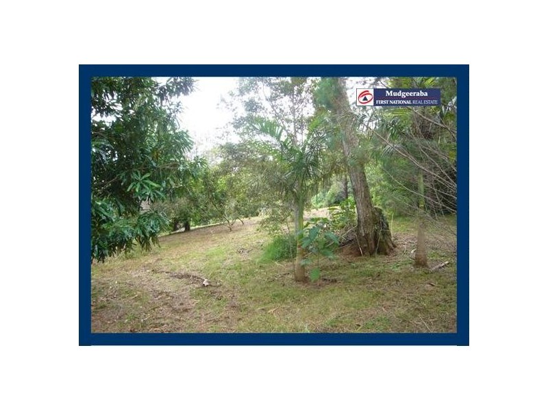 2404 Springbrook Road, Springbrook QLD 4213