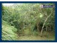 2404 Springbrook Road, Springbrook QLD 4213