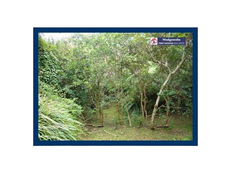 2404 Springbrook Road, Springbrook QLD 4213