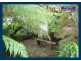 2404 Springbrook Road, Springbrook QLD 4213