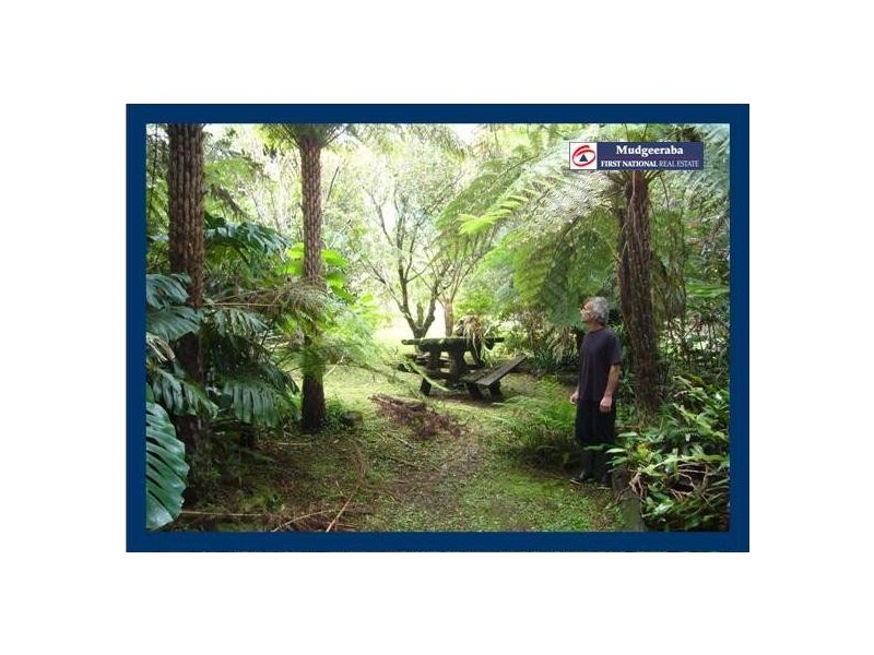 2404 Springbrook Road, Springbrook QLD 4213