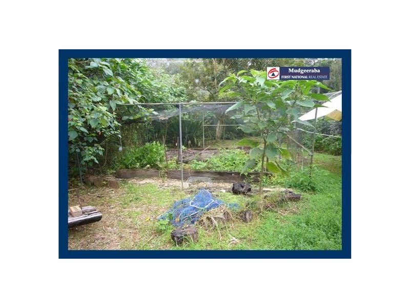 2404 Springbrook Road, Springbrook QLD 4213