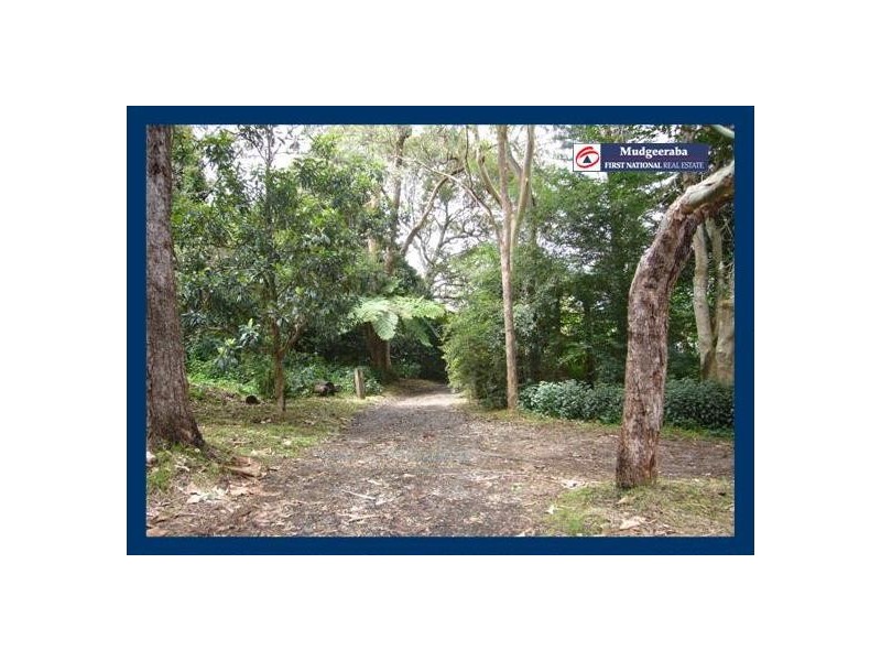 2404 Springbrook Road, Springbrook QLD 4213