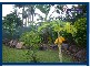 22 Widden Court, Worongary QLD 4213
