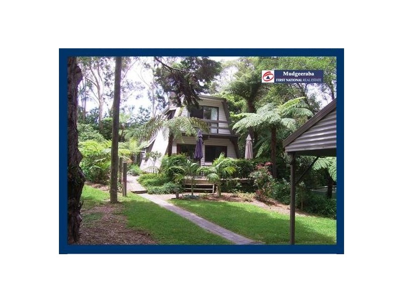 Springbrook QLD 4213