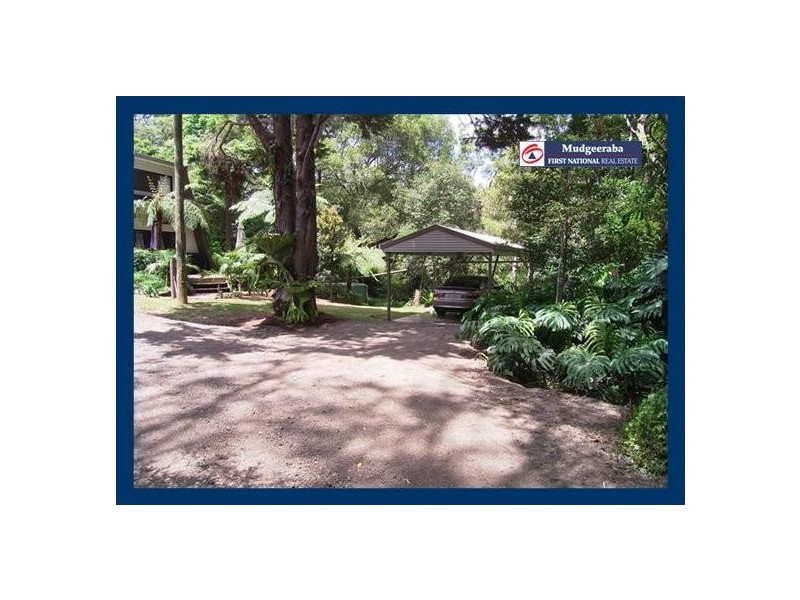 Springbrook QLD 4213